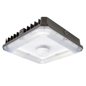 CPSM100 Canopy  Light